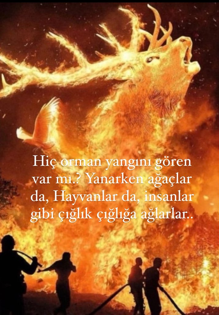 #BURSAYANIYOR #Doğayanıyor #Hayvanlaryanıyor #TürkiyeYanıyorYakılıyor