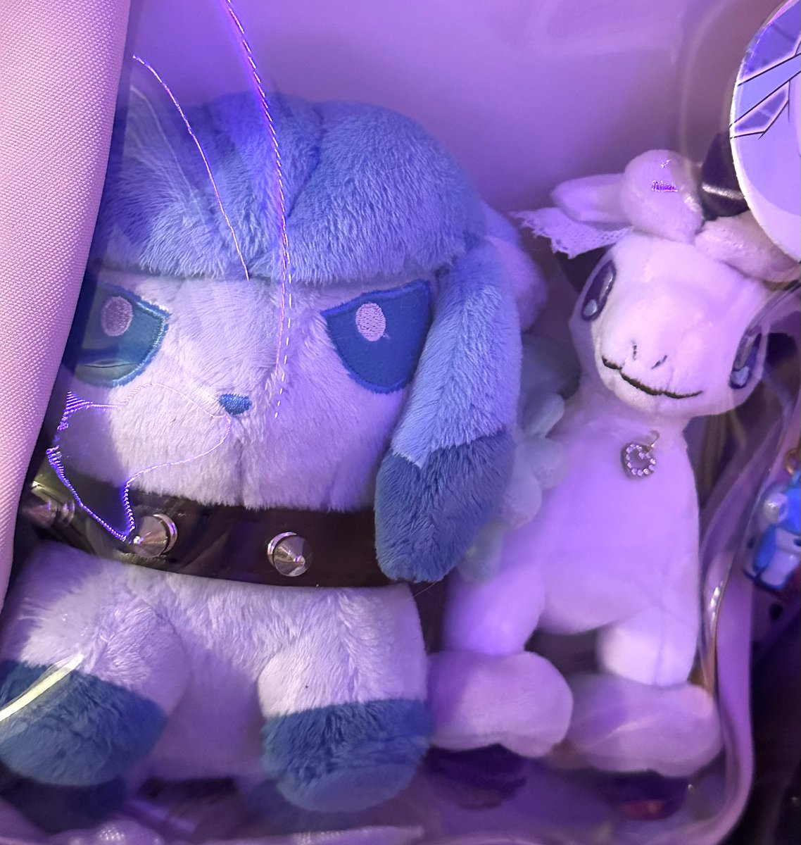 glaciekitty's tweet image. they are so cuteee