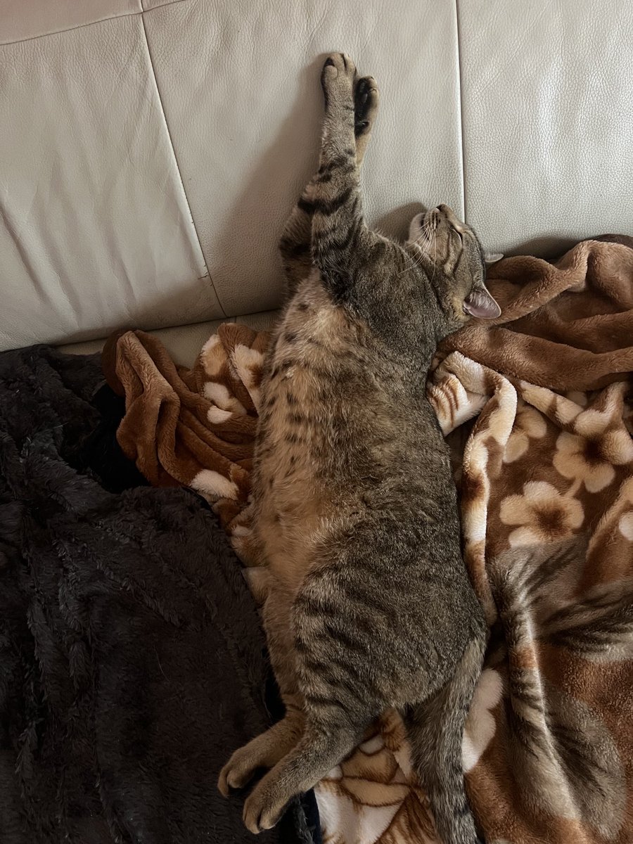 OgiLav's tweet image. Kad se neko nečem dobrom naadaa…🎶🎶🎶🎶