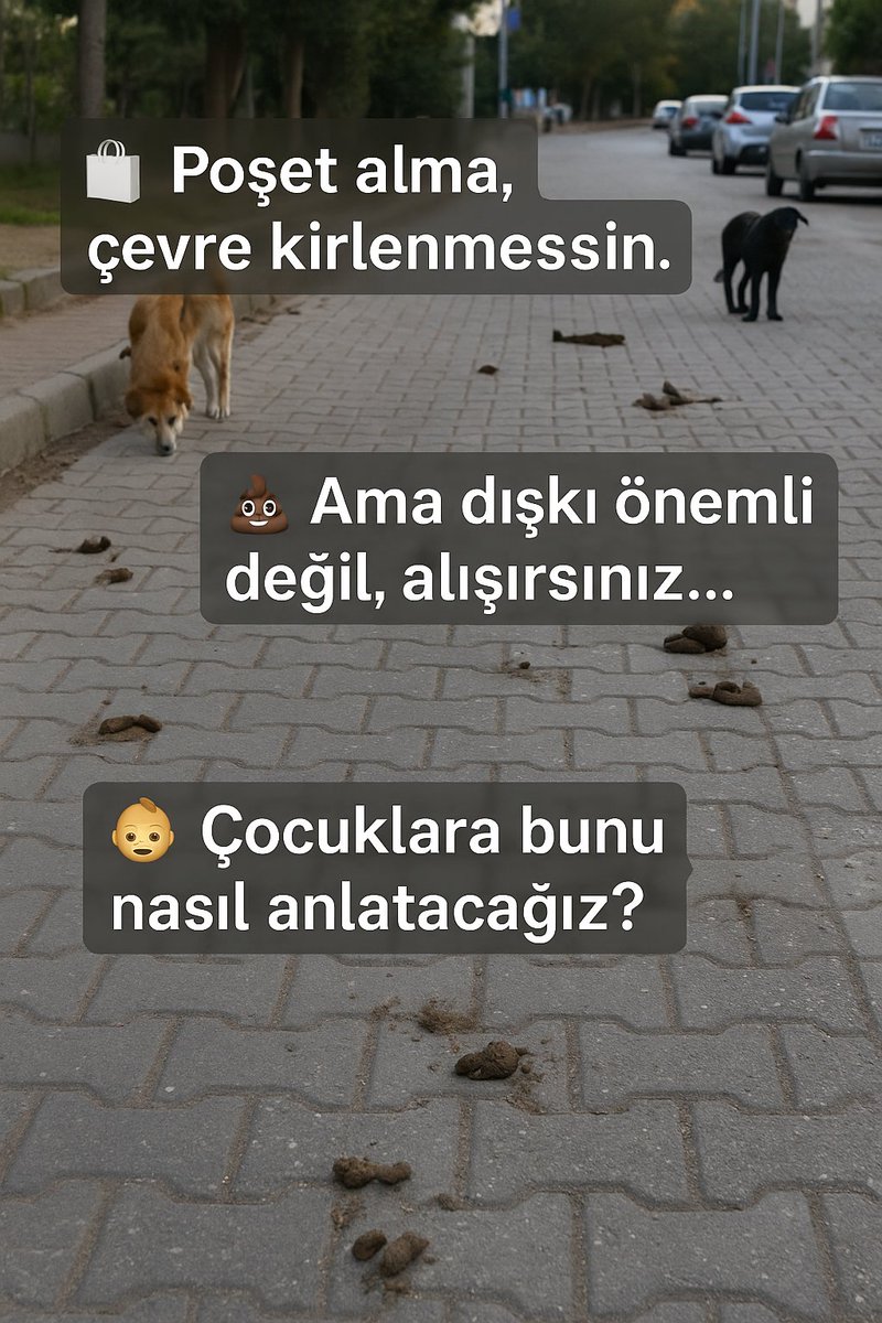 Poşet almasınlar diye 50 kuruş alıyoruz, çocuklara çevre bilinci aşılıyoruz.
Ama sokaklarda dışkı içinde yürümeye, başıboşlukla yaşamaya "alışmaları" gerektiğini söylüyoruz.
Bu çelişkiyi çocuklara nasıl anlatacağız?