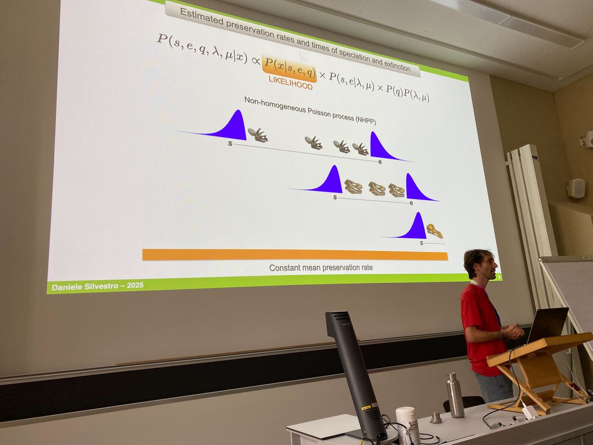FernandoBlancoS's tweet image. Kicking off @CPEG_CPB25 with our workshop 'Decoding the Past: Deep Learning for Macroevolutionary Analyses' — full room and lots of enthusiasm for learning cool macroevolutionary methods 💻🦌🐬🦕