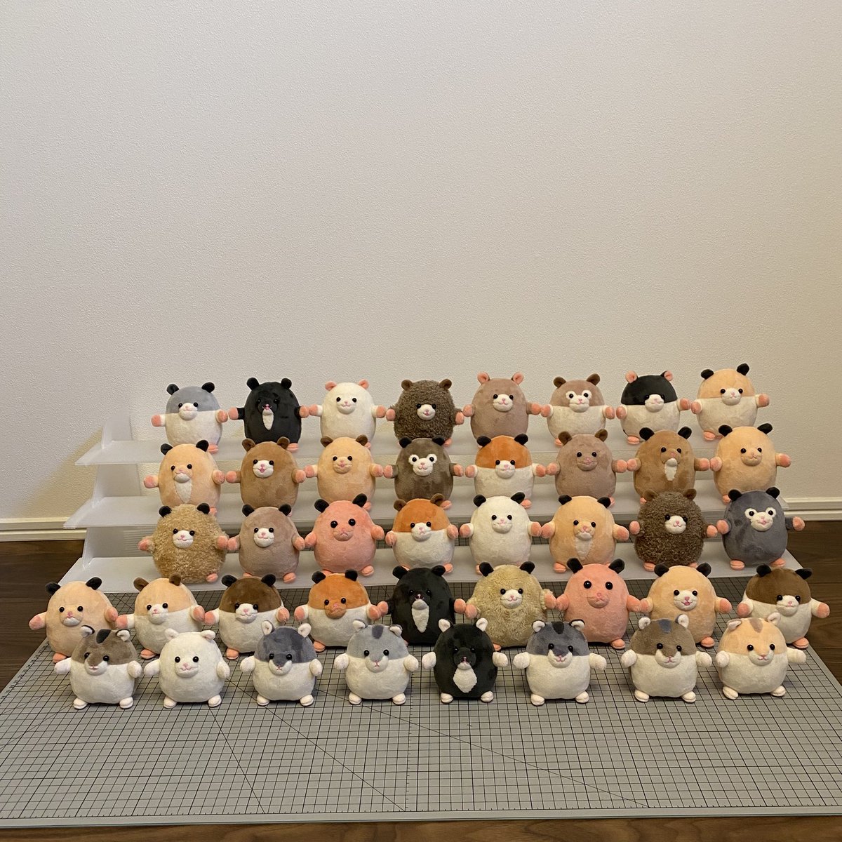 見てくれ！！！すごい！！
什器は材料費550円でできた！