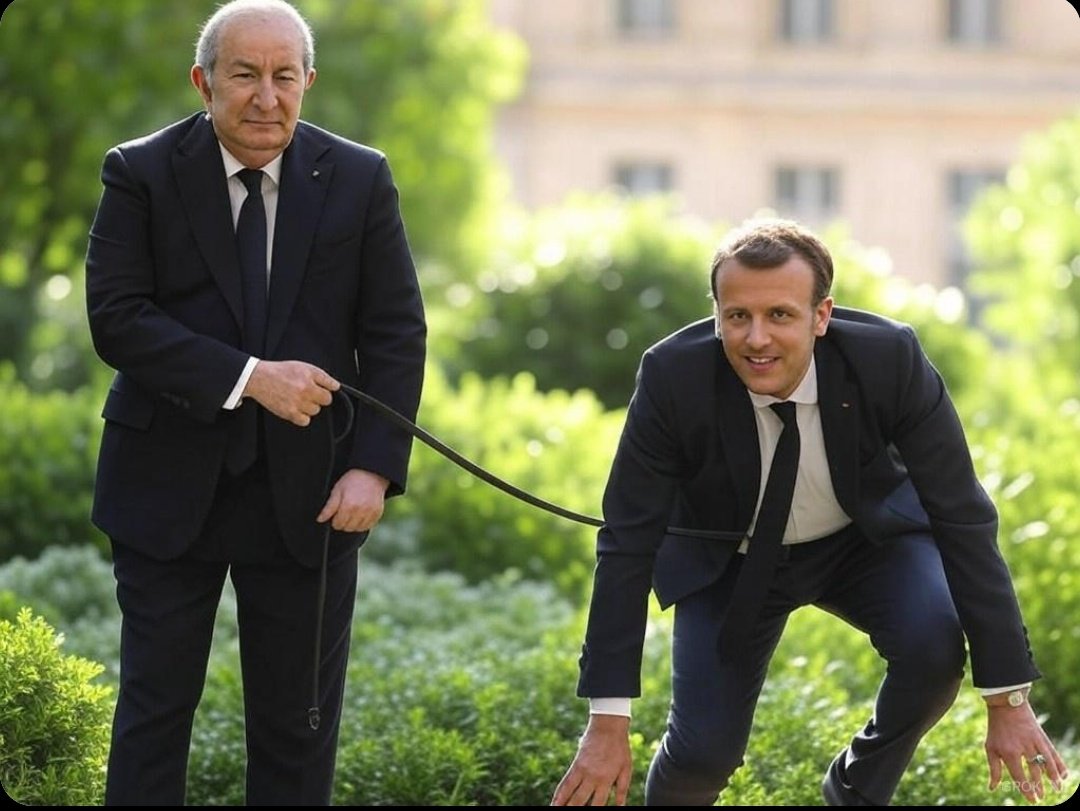 JMMartini20's tweet image. 🚨 Face à cet appel déchirant d'une gauchiasse en perdition, j'ai moi-même appeller @EmmanuelMacron qui réunis en urgence sont état major pour s'occuper du problème 😂😂😂😂
Il a promis de s'en occuper dès la fin de sa promenade 🤣🤣