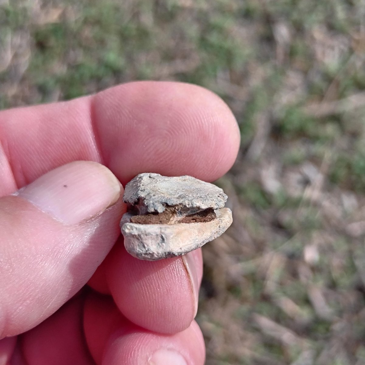SDetectorist's tweet image. When your favorite pot became holed, you couldn't just nip to the shop to buy a new one.
The answer, pour in a lead plug, a "Pot Mend"
Fragments of pot still remain in the groove, could date from roman through to medieval.
