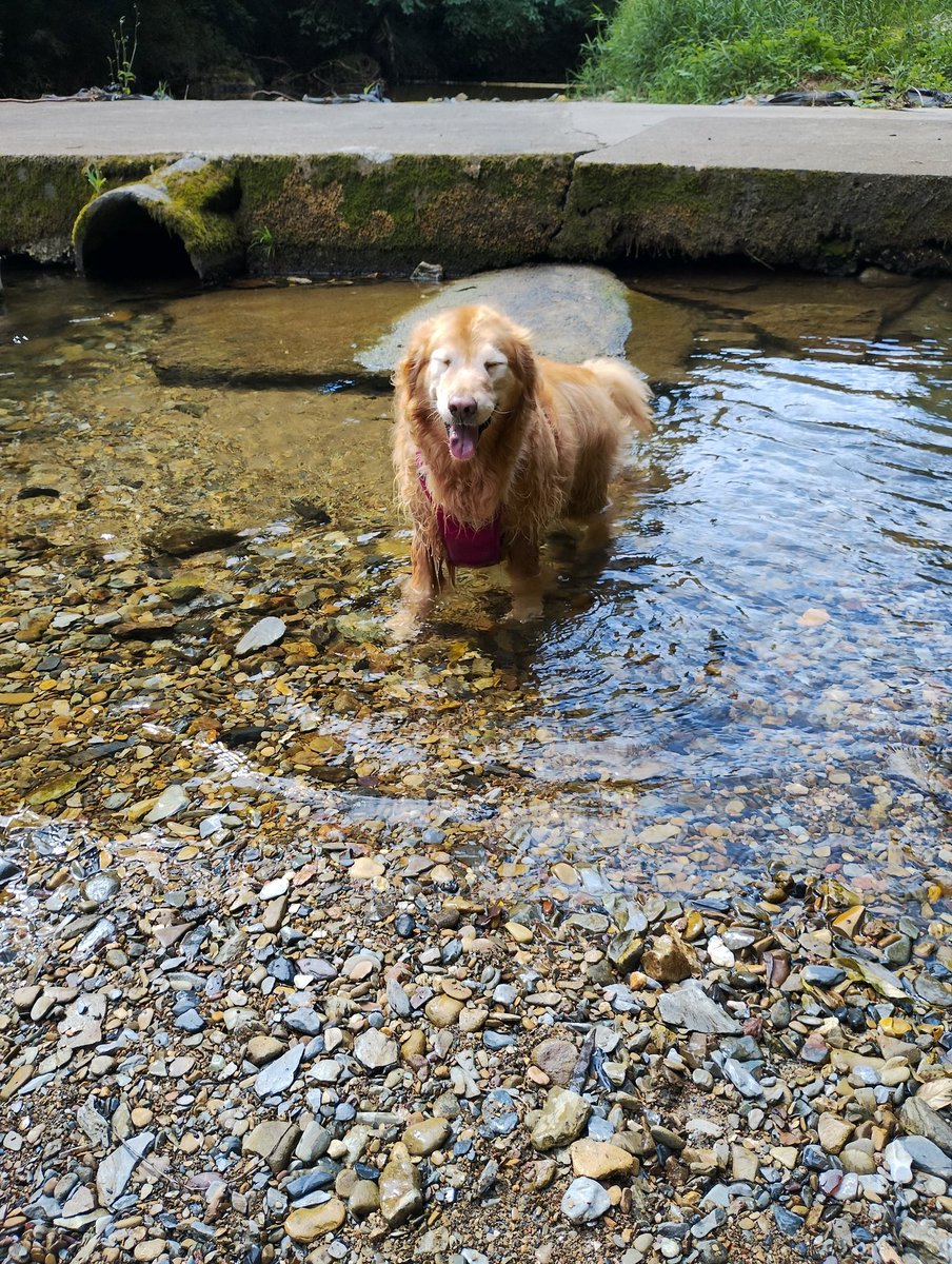 先週よりはだいぶ涼しくなりましたが、お水遊びはサイコー😄