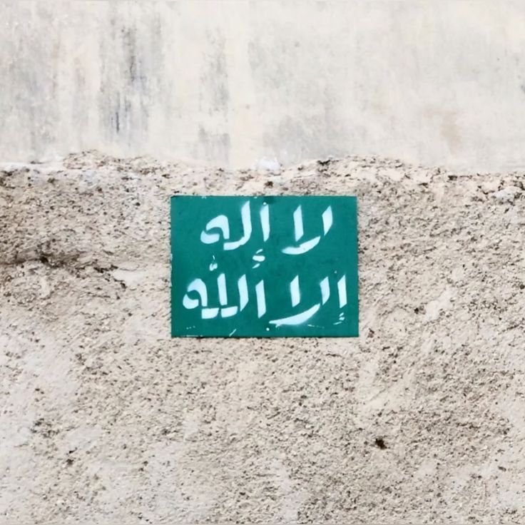 ﴿ وَاذْكُر ربّكَ إِذَا نَسِيتَ ﴾.🌱🤍