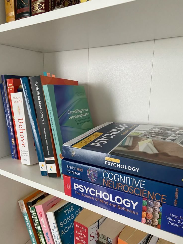 studyakiii's tweet image. D-1

₊˚ hi, i’m aki ྀི ! i’m looking for #studytwt , #studytwtph mutuals !

——💌
⋆˙⟡ 04’ ; she/her ; filo
⋆˙⟡ new to #studytwt 
༘ BS Psychology  2nd Year! 𝚿
༘ likes— analyzing people for fun 𖡎

♡ / ↻ to be mutuals^^