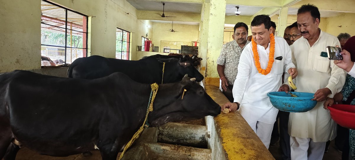 Anil Baluni (@anil_baluni) on Twitter photo आज कोटद्वार स्थित श्री गोपाल गौ लोकधाम सेवा संस्थान द्वारा संचालित गौशाला में गौसेवा का सौभाग्य प्राप्त हुआ।
गौमाता की सेवा कर आत्मा को जो शांति मिलती है, उसका वर्णन शब्दों में नहीं किया जा सकता। गोवंश की सेवा कर एक दिव्य संतोष का अनुभव हुआ। आज कोटद्वार स्थित श्री गोपाल गौ लोकधाम सेवा संस्थान द्वारा संचालित गौशाला में गौसेवा का सौभाग्य प्राप्त हुआ।
गौमाता की सेवा कर आत्मा को जो शांति मिलती है, उसका वर्णन शब्दों में नहीं किया जा सकता। गोवंश की सेवा कर एक दिव्य संतोष का अनुभव हुआ।