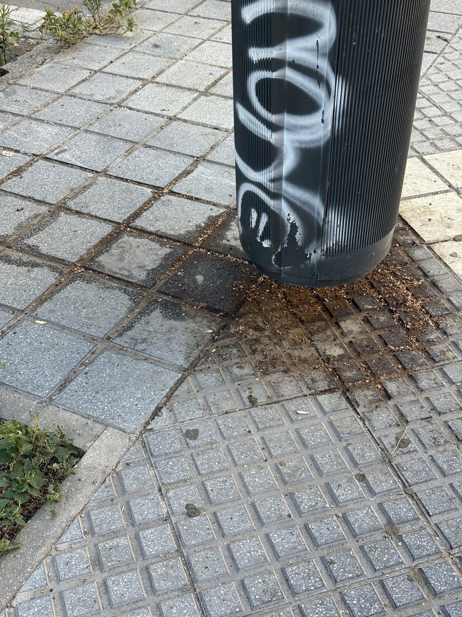 FranzVanPelt's tweet photo. ⚠️🚨Me dan absolutamente igual todas las EXCUSAS sobre el origen de la mugre y la suciedad en las calles de Málaga, lo que está claro es que no se limpian.
#Porrasyonomiento

📍 Haza de Cuevas y Las Chapas https://t.co/KkZVW82Ns7