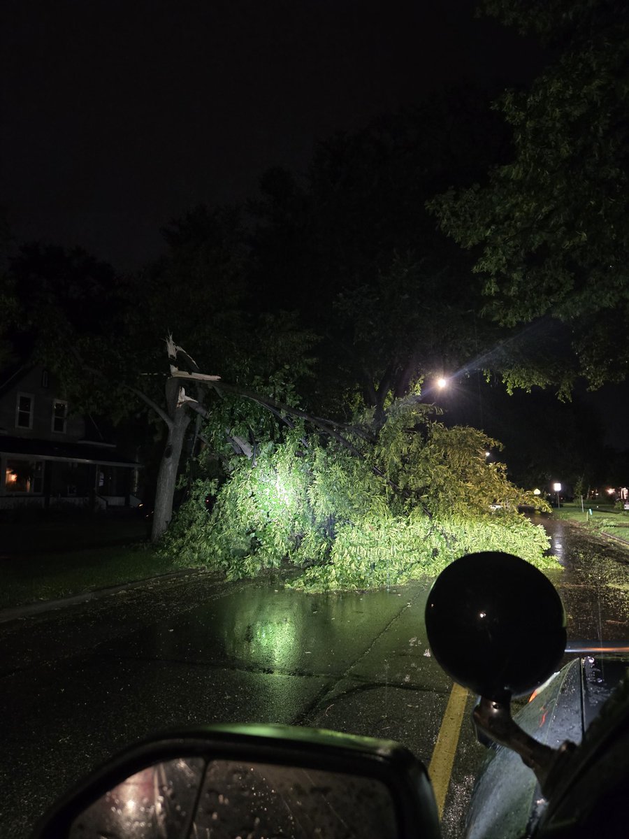 BrandonCopicWx's tweet image. Belmont just north of 8th in Grand Forks, ND decent sized tree damage @NWSGrandForks @foxweather