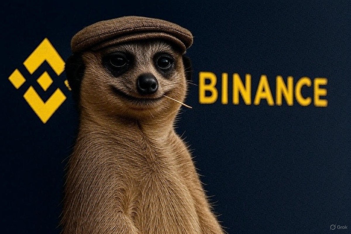 <a href="/AltcoinGordon/">Gordon</a> <a href="/BinanceAfrica/">Binance Africa</a> once used the Timon meerkat meme.

Imagine if <a href="/binance/">Binance</a> just buys and lists $Timon, it'll defo run better than anything y'all have seen.

This has ALL the potentials, IMO!

Very tiny mc, yet the community still stands strong.

<a href="/timononsol/">$TIMON - THE MEERKAT</a>