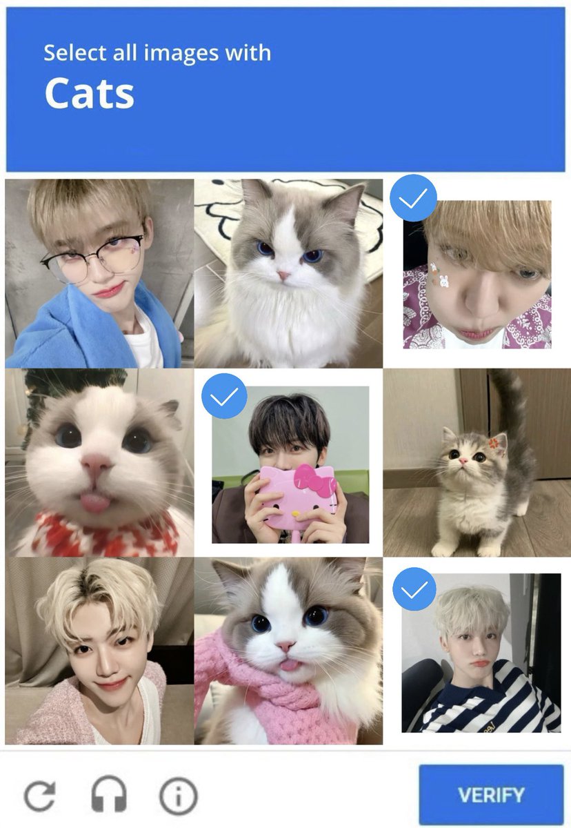 he's my meow meow 🐈🐾