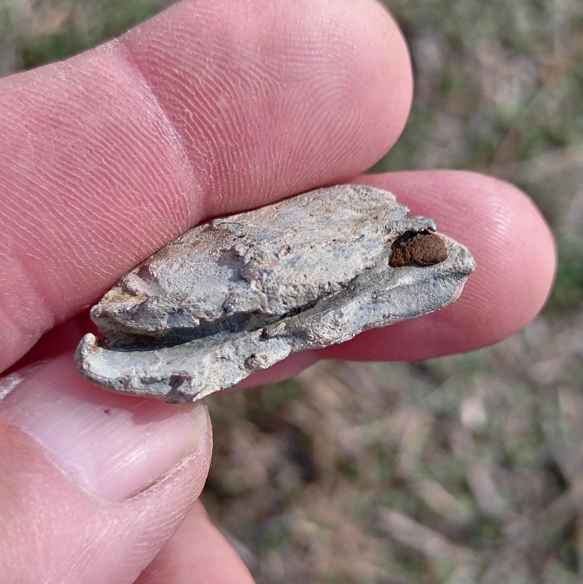SDetectorist's tweet image. When your favorite pot became holed, you couldn't just nip to the shop to buy a new one.
The answer, pour in a lead plug, a "Pot Mend"
Fragments of pot still remain in the groove, could date from roman through to medieval.