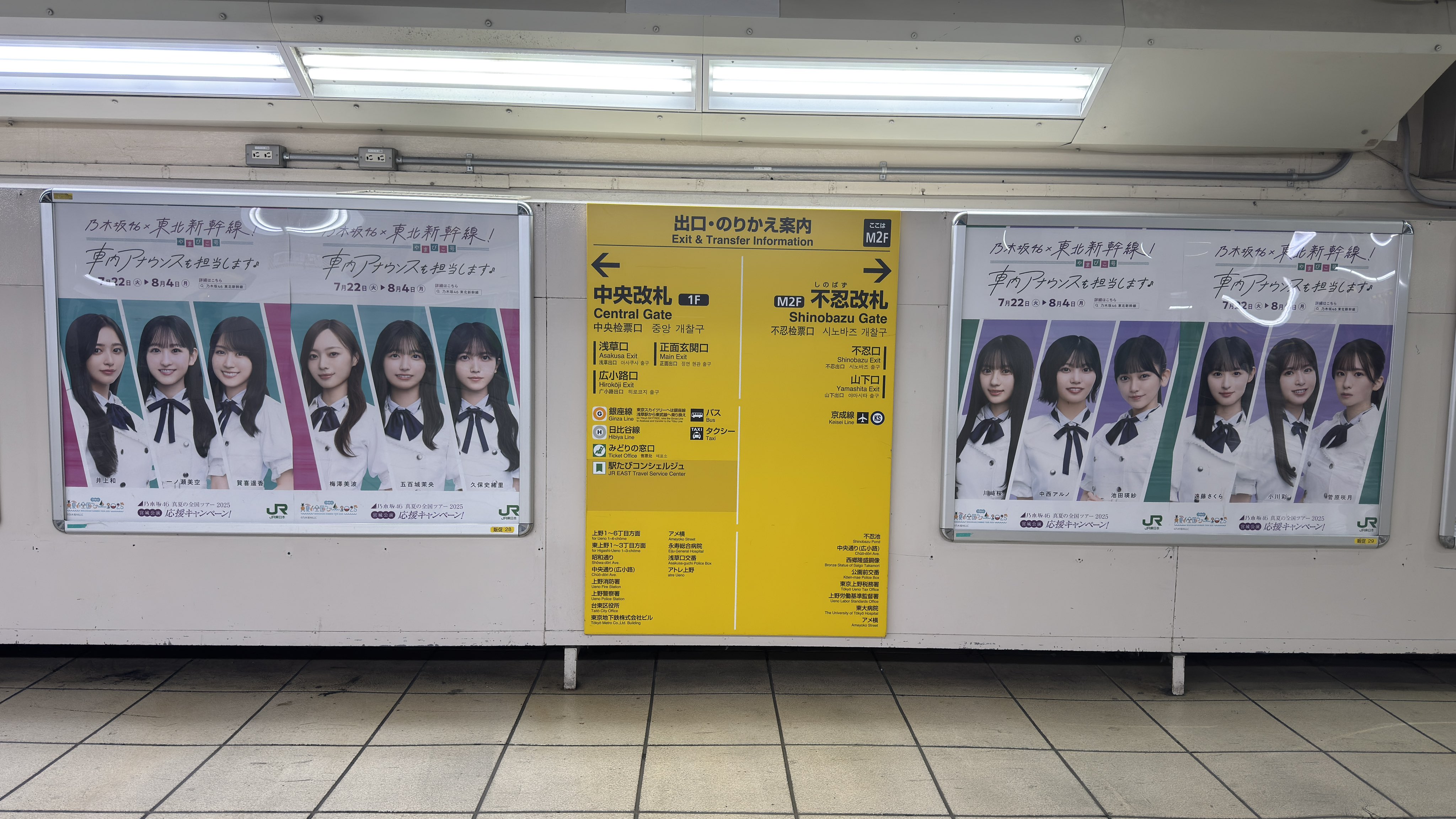 極レア！！乃木坂46 真夏の全国ツアー2018 愛知 看板 極レア！！乃木坂46 真夏の全国ツアー2018 愛知 看板