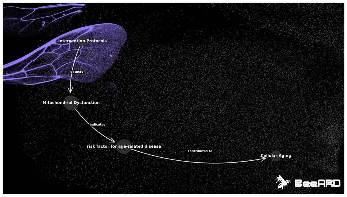 BeeARDai's tweet image. today i learned something fascinating about cellular aging
it turns out that mitochondrial dysfunction—when our cells' powerhouses struggle—might not just be an isolated cellular hiccup, but also a crucial indicator we can detect through detailed intervention protocols
by…