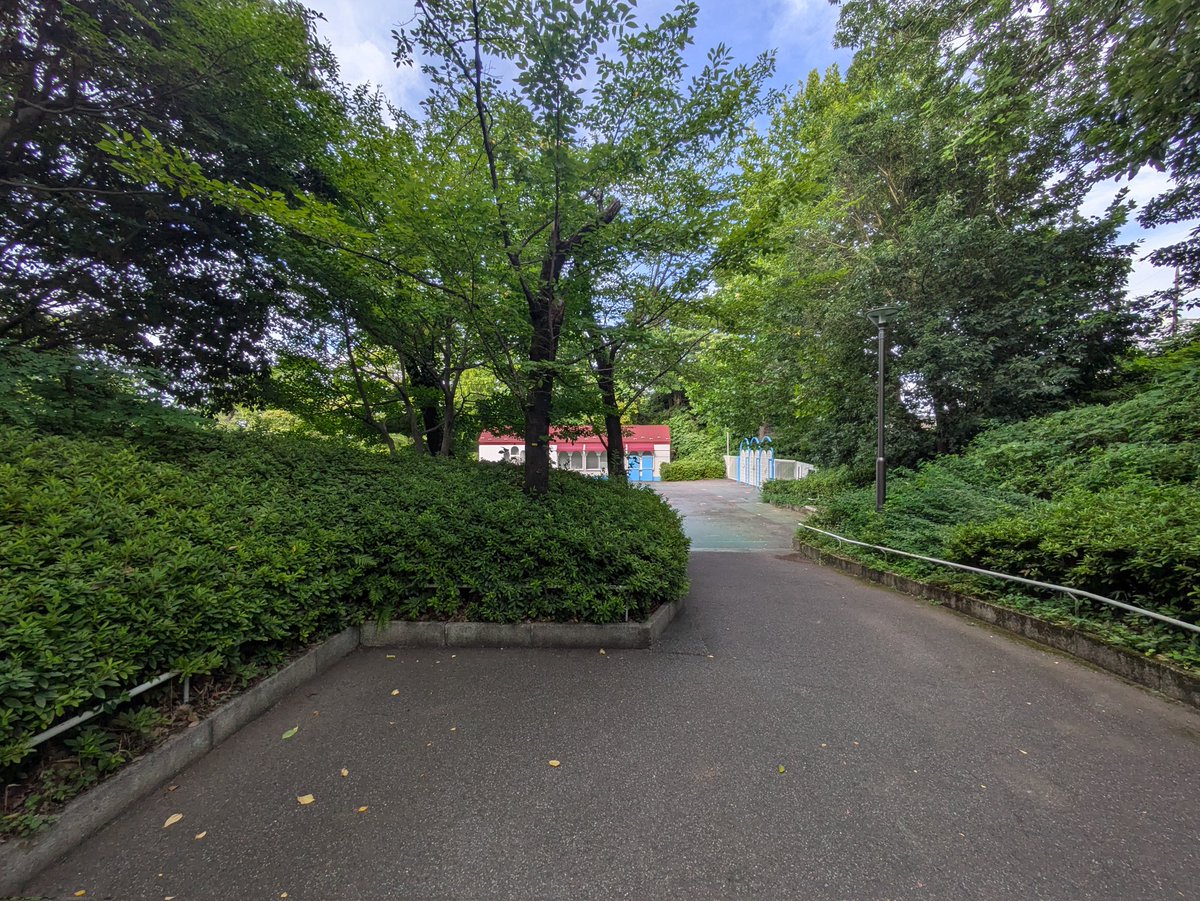 meprgame's tweet image. 西武園こんな森の中にあるし刀関わってたし実質ジャングリアでしょ