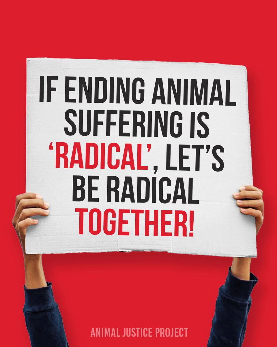 ajpReact's tweet image. Compassion might challenge the status quo, but it’s the only way real change ever happens.

Let’s make kindness the new normal. Like this post if you agree!

#BeRadical #ChooseCompassion #AnimalJusticeProject
