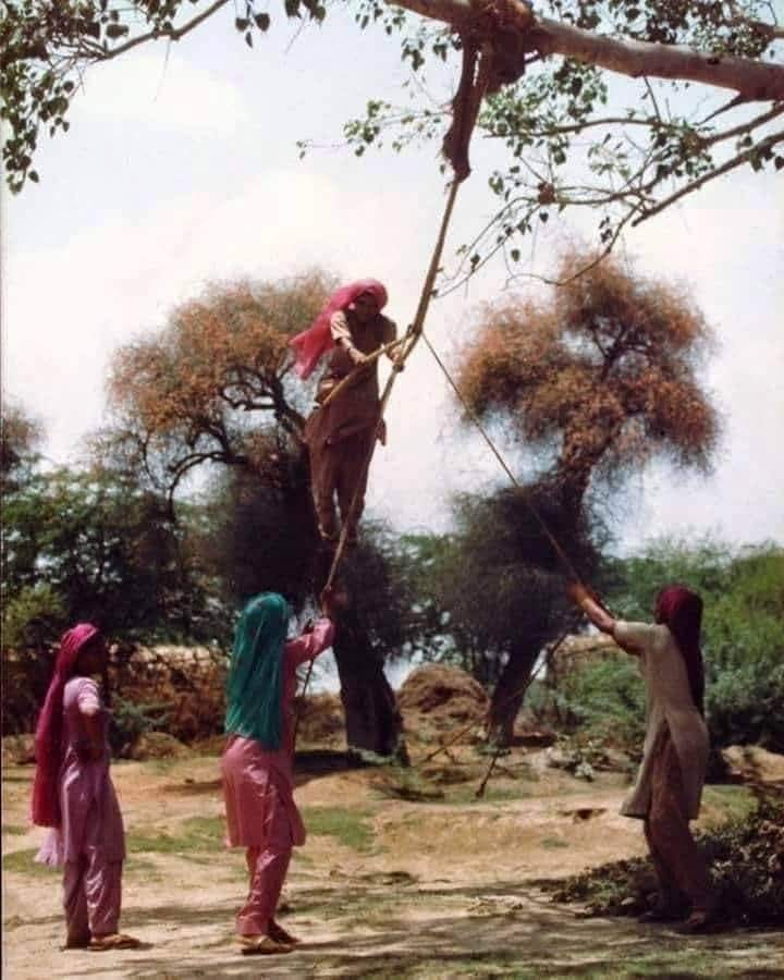 चौगरदे तै बाग हरा,घनघोर घटा सामण की
छोरी गांवै गीत सुरीले,झूल घली कामण की.

सुहाली,गुलगुले अर फेर-लुगाइयों के अल्हड़पन,हंसी-मखौल और मौजी भाव से मनाए जाने वाले त्योहार तीज की राम राम.