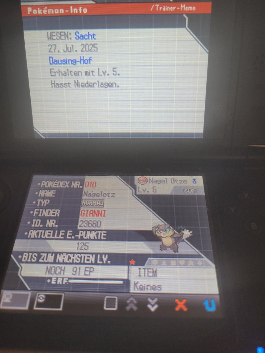 GianPfaender's tweet image. 1st Phase for the 5% Riolu in White 2 is finally over after 22417 encounters. Its a Patrat 🐀
Lets dive into the next Phase and hope its a Quick one 🫡