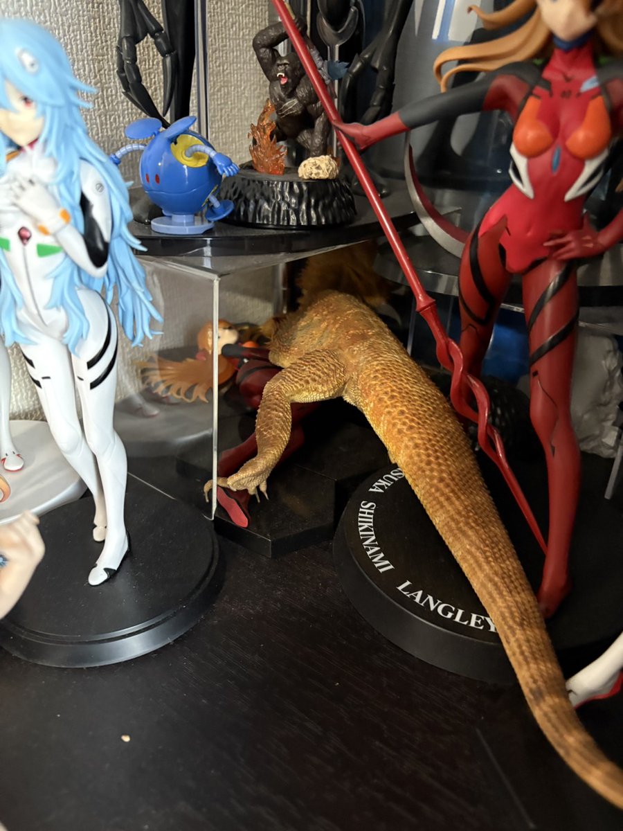 午前中に退院できてやっと家に帰ってこれた！
早く普通の生活に戻れるようにしないとな(ง ˘ω˘ )ว