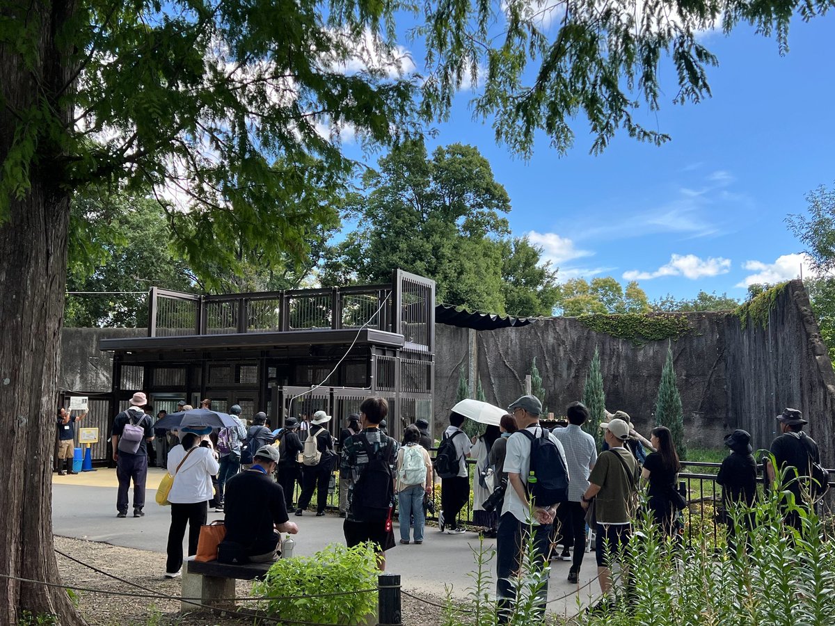 non_hoi_park's tweet image. 本日は大変暑い中、世界トラの日ガイドにご参加いただいたお客様ありがとうございました!
スタッフ一同感謝です✨
多くの方にトラの現状や私たちにできることなどお伝えできたと思います。
そしてアムールトラのアースは本日は食い気よりプールな日でした🐯
#豊橋 #のんほいパーク #世界トラの日