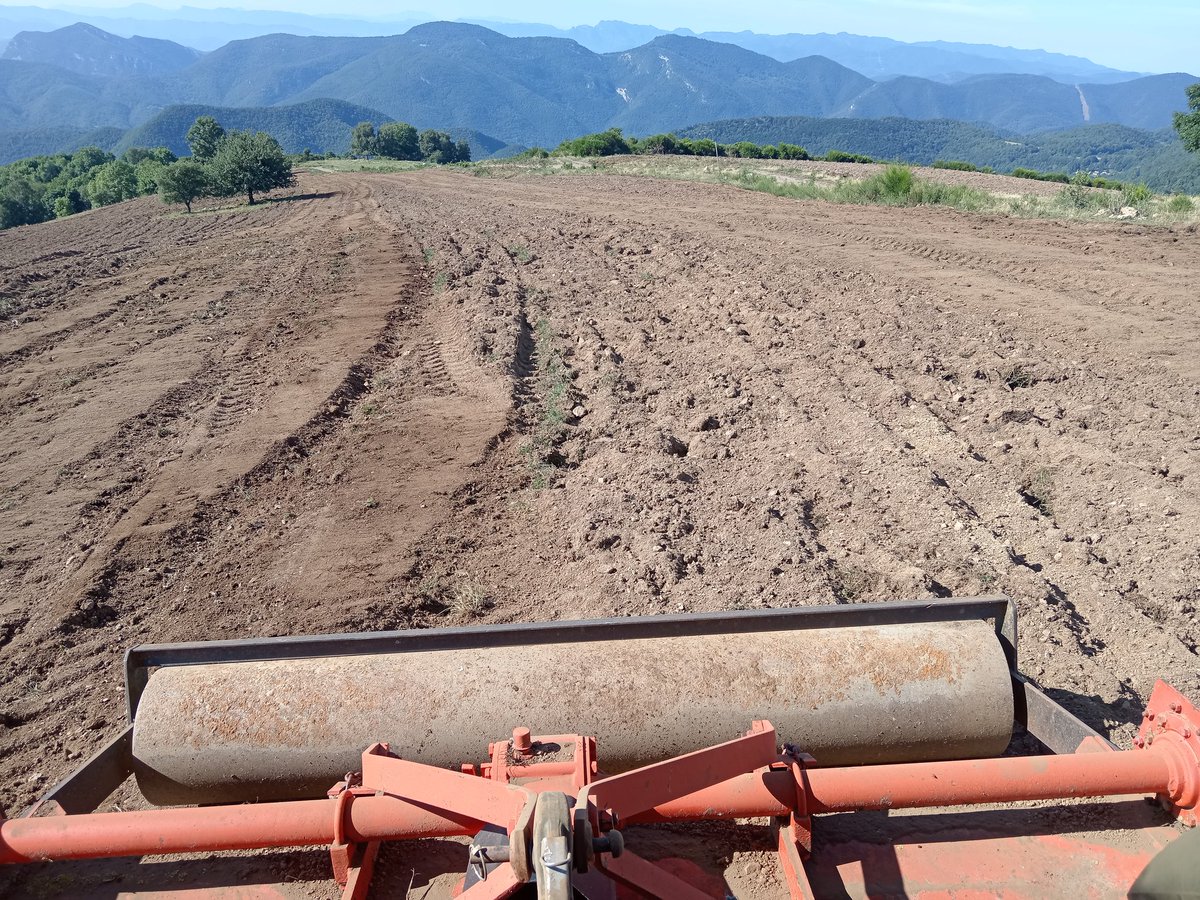 xaiecologic's tweet image. Amb els fems i la pendent patinaven i hem cardat un desastre de llaurada, ara allisem per deixar-ho més bé per sembrar.
Diga'm quantes hores portes de tractor i et diré com de pagès ets..
#ProverbiRocabrunenc
Gas i canya!
#CampanyaDeLaTerra2025
#APerTotes
#SomLaResistència 🚜💪