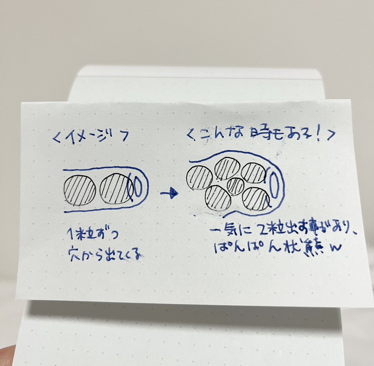piccolocibi's tweet image. 🐰うさぎさんの真実😳
🕳️🕳️🕳️🕳️🕳️🕳️🕳️🕳️🕳️🕳️🕳️🕳️🕳️
お尻の穴の中で💩の大渋滞が起きる❣️
🕳️🕳️🕳️🕳️🕳️🕳️🕳️🕳️🕳️🕳️🕳️🕳️🕳️
心配になる位パンパンに!少し時間をかけて力んで頑張って出してます🐰💦
#介護で気づいた事
#うさぎの介護
#シニアうさぎ
#スーパーシニアうさぎ