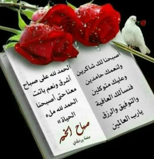 صباح الحمد والامتنان والشكر للرحمان
اللهم كما زينت بحارك بالؤلؤ والمرجان........... ورفعت سماك بلا عمدان وعمًرت أرضك بالإنسان..... 
زين قلوبنا وقلوب احبتنا بالإيمان وأرفع اقدارنا في الميزان
وعمًر اخرتنا بفسيح الجنان... و أكرمنا بالغفران.....
     💞💞💞  صباح الورد والفل والريحان