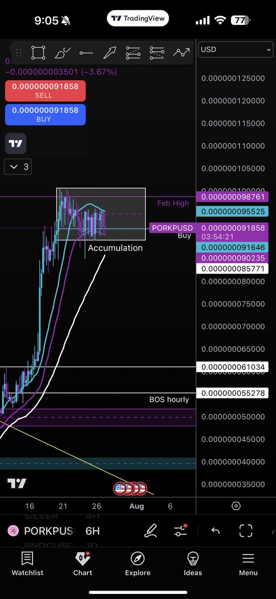 xplorer_crypto's tweet image. $PORK 6hr - heavy accumulation.. as @hWonderofWorld said.,, coiled 🌪️.
$PNDC $WPOND