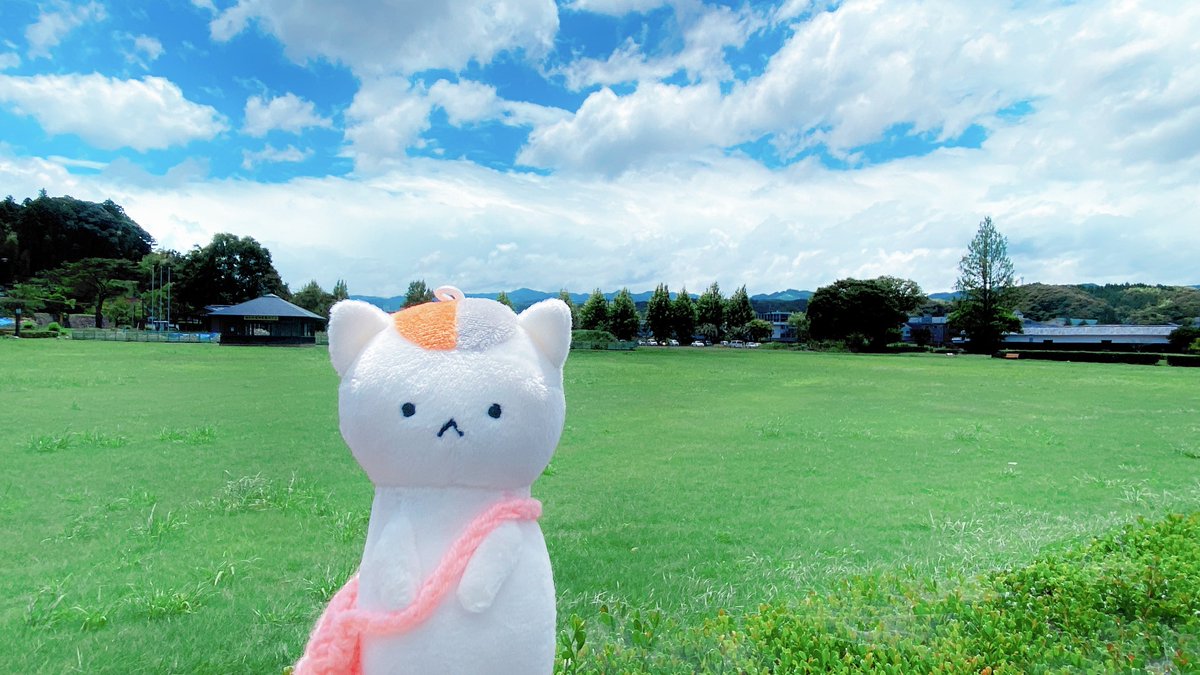 nathu_0701's tweet image. 夏の空☁️