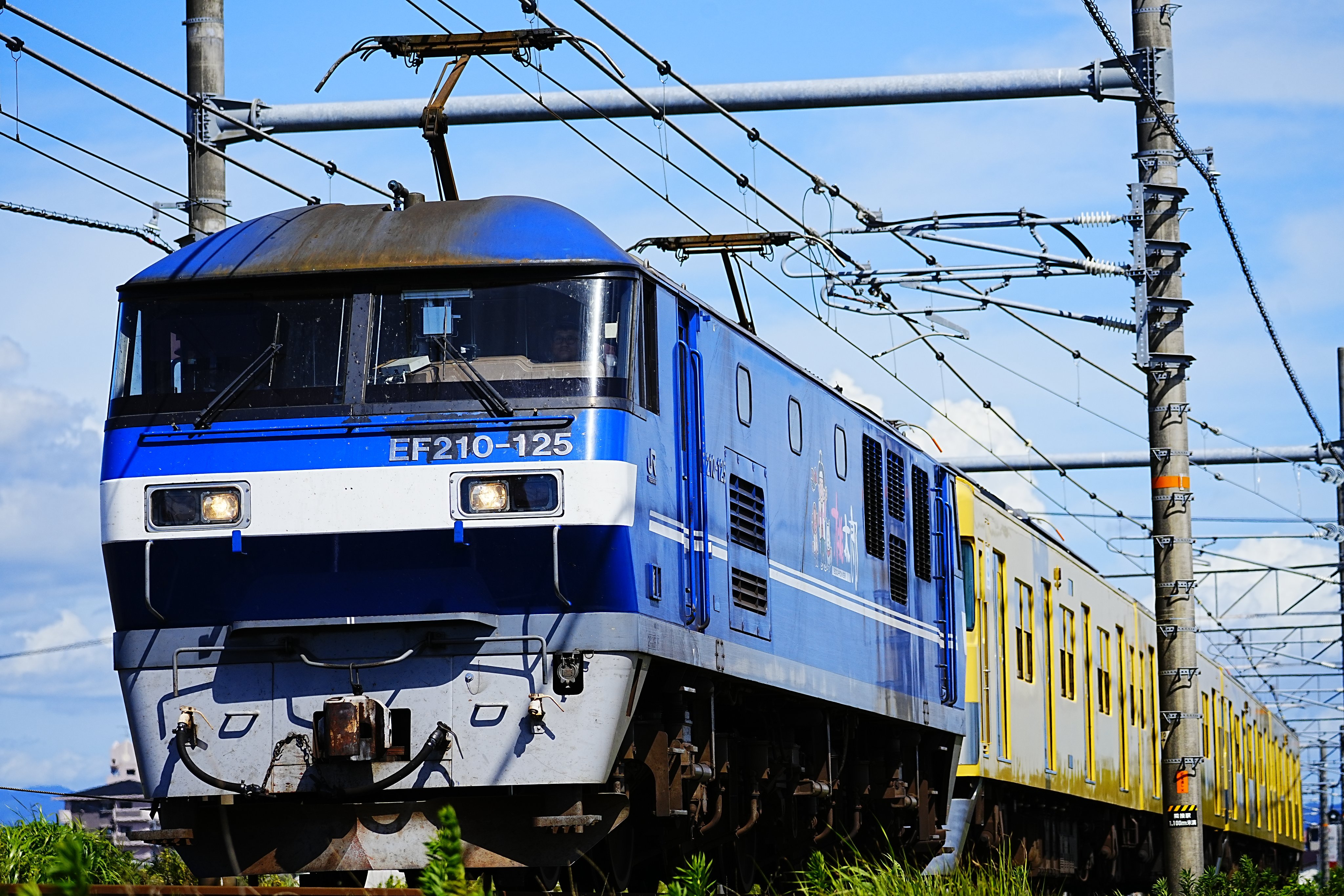 3783 外国切手 セントクリストファー・ネイビス 農業 輸送 鉄道 10種完 3783 外国切手 セントクリストファー・ネイビス 農業 輸送 鉄道