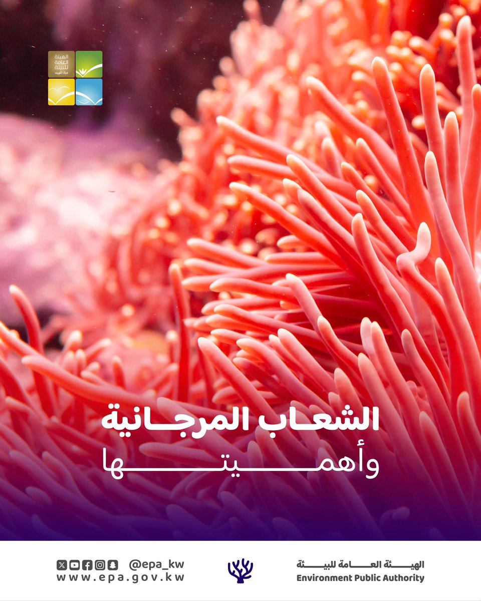 أهمية الشعاب المرجانية: 
- توفير مأوى لآلاف الانواع من الأحياء البحرية. 
- العمل كمصدات طبيعية لحماية السواحل من قوى التعرية 
- ⁠المساهمة في تكوين وتثبيت الجزر المرجانية خطورة تدمير الشعاب المرجانية من خلال حركة الزوارق عن طريق سحب المرساة، يؤدي إلى كسر المرجان أو خلعه وينتج خلل