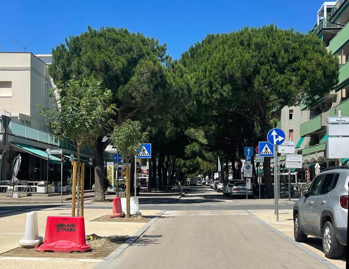 Ricorso alla Corte Europea per i pini del ravennate terranuova.it/news/ambiente/… #alberi #ravenna #corteeuropeadeidirittidelluomo