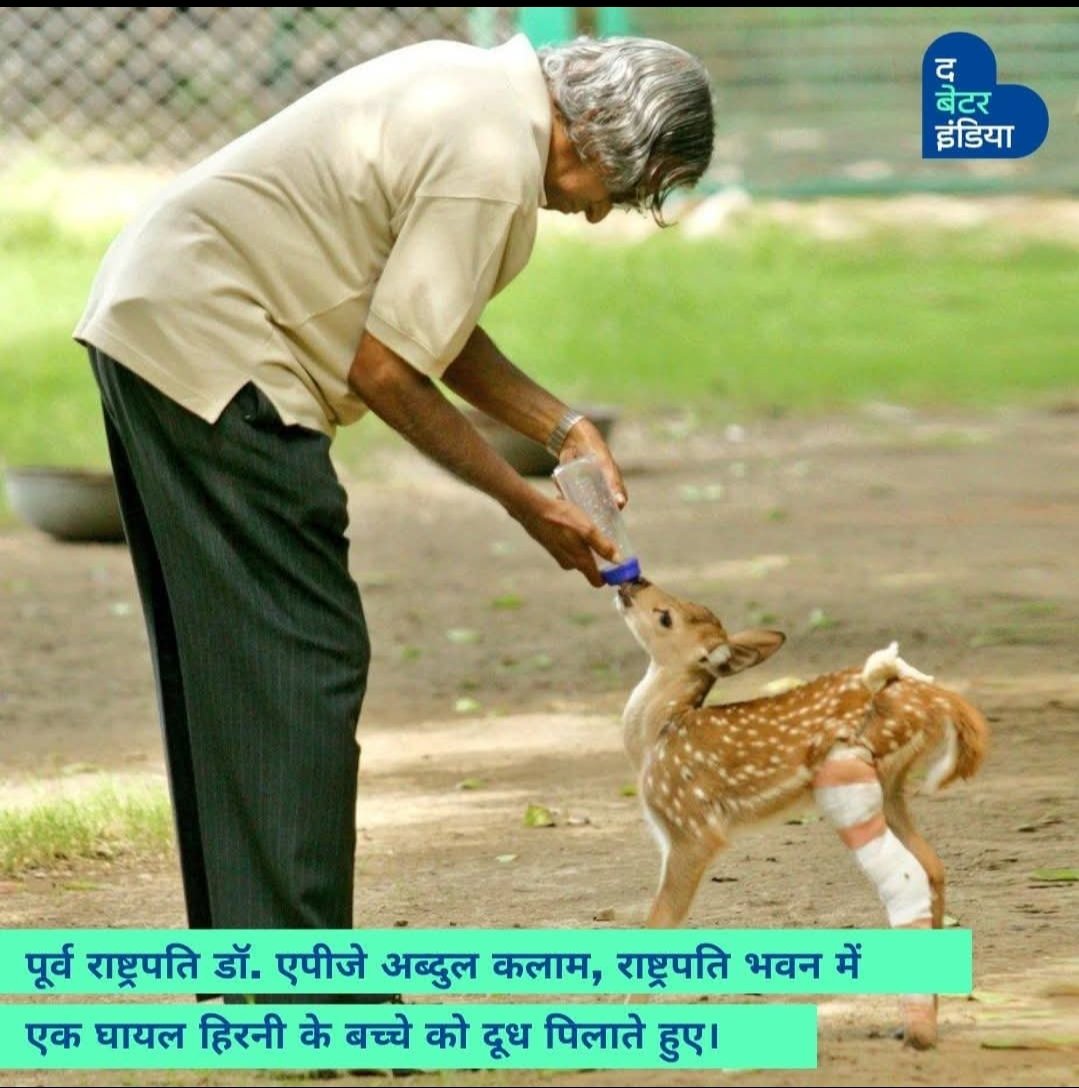 राष्ट्रपति भवन को घर मानने वाले जानवरों में टीपू नामक एक हिरण भी है, जिसके पैरों में पैदाइश से ही कुछ दिक्कत थी।

बहुत कम लोगों को पता है कि जब टीपू के पैरों की सर्जरी हुई थी, उस वक़्त राष्ट्रपति पद पर कार्यरत डॉ. कलाम ने ही इस सर्जरी की पूरी देख-रेख की थी, जिसके बाद टीपू पूरी