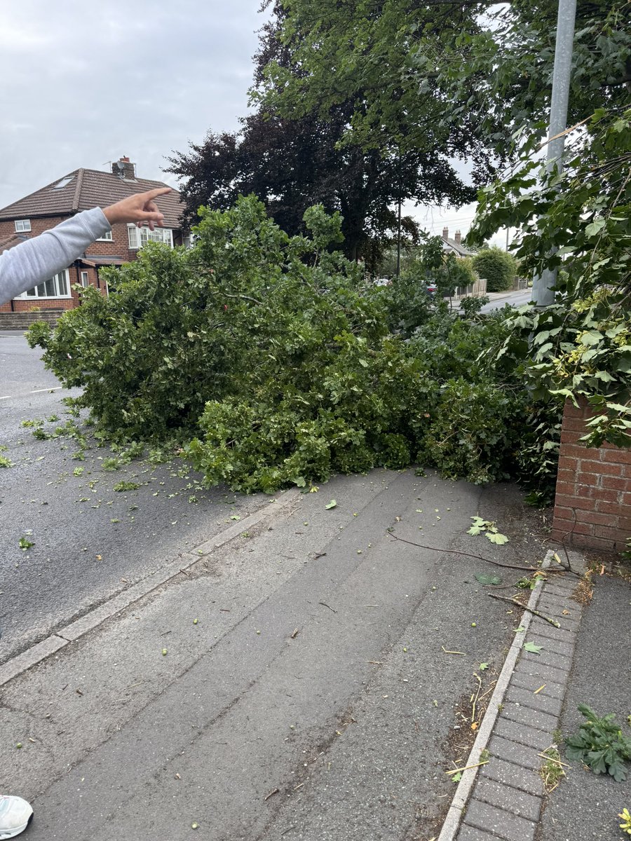 MartinFranklin_'s tweet photo. @cheshirepolice Rushgreen Road in Lymm blocked by fallen Oak tree wa13 9RQ https://t.co/UbhM6Z3MPd