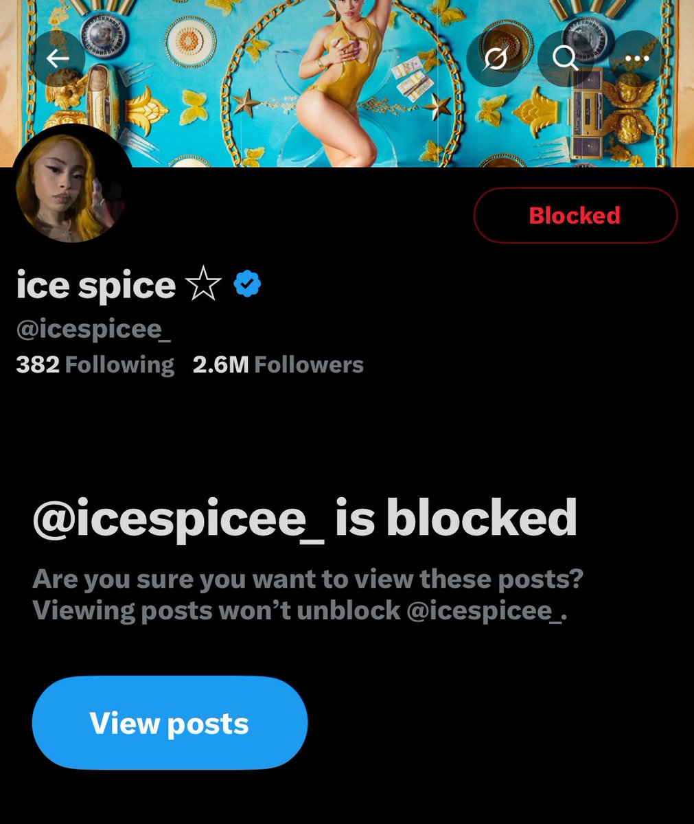 ludanshi's tweet image. just had diarrhea so i blocked ice spice