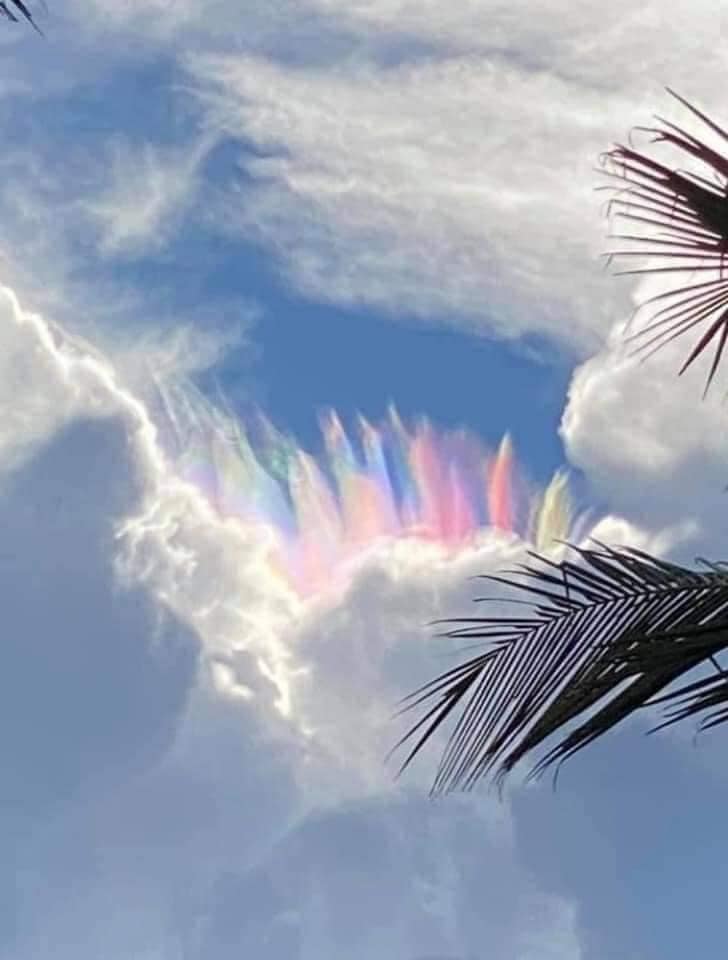 BigBangSciCom's tweet image. De superbes plumeaux iridescents photographiés le 19 juillet 2024 à Cocoa Beach, en Floride !
plus d'infos sur ce type de nuages : youtu.be/bYpd1XuInEI?fe…
Crédits 📷 : David Groves
#Clouds #Nuage #Météorologie #Meteorology #weather #nature #naturelovers