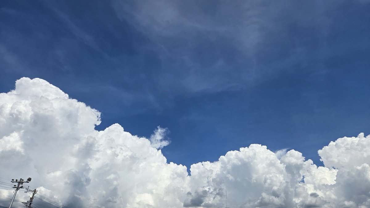 夏の雲 Amazon.co.jp: 夏の雲 : 菅野 修: 本