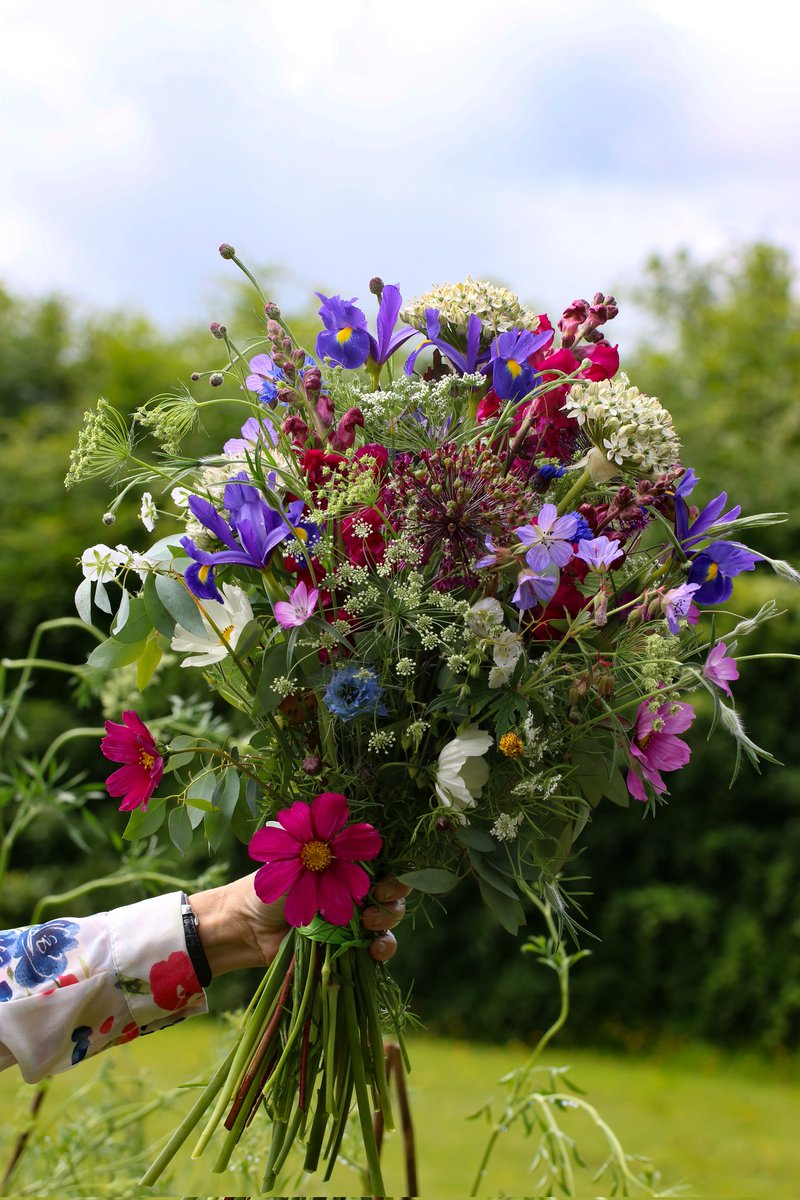 a1isonmoore's tweet image. In the August edition of #CheshireLifeMagazine, I visit Diane Lloyd, a flower farmer in Tarporley. Just look at these gorgeous blooms #sundayvibes #cutflowers #britishflowers #Cheshire