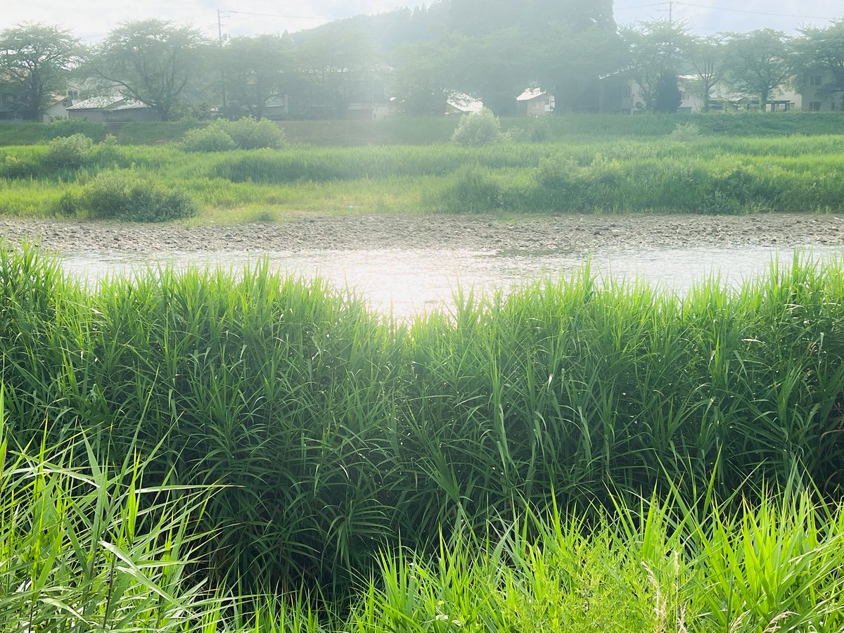 umibe_ghost's tweet image. ちょっと歩いた