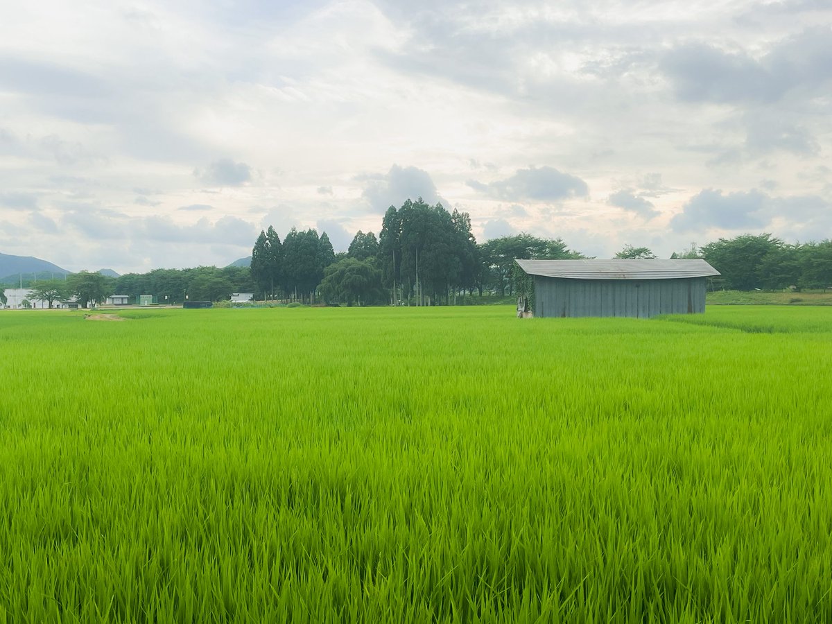 umibe_ghost's tweet image. ちょっと歩いた