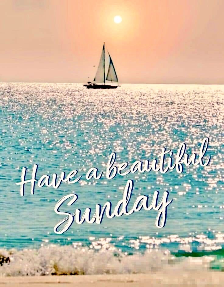 Sunday_Shining_'s tweet image. 