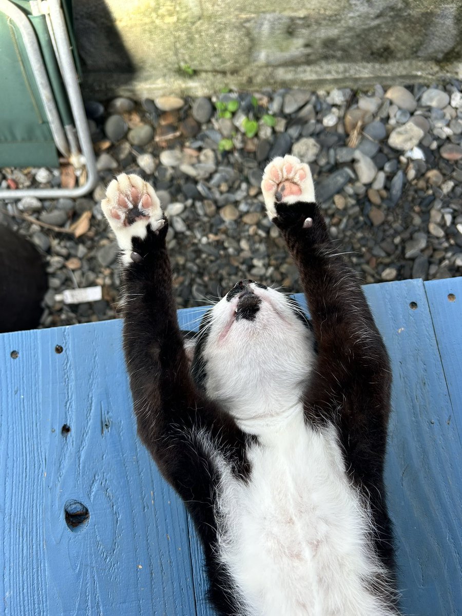 itarutakaku's tweet photo. 島暮らし。
身近に「再生の道」の支持者がいません。
結構寂しいです。
参議院選後により好きになったので、益々応援していこうと思います！

#石丸伸二支持者と繋がりたい 
#再生の道支持者と繋がりたい https://t.co/3TSBBAaUA5