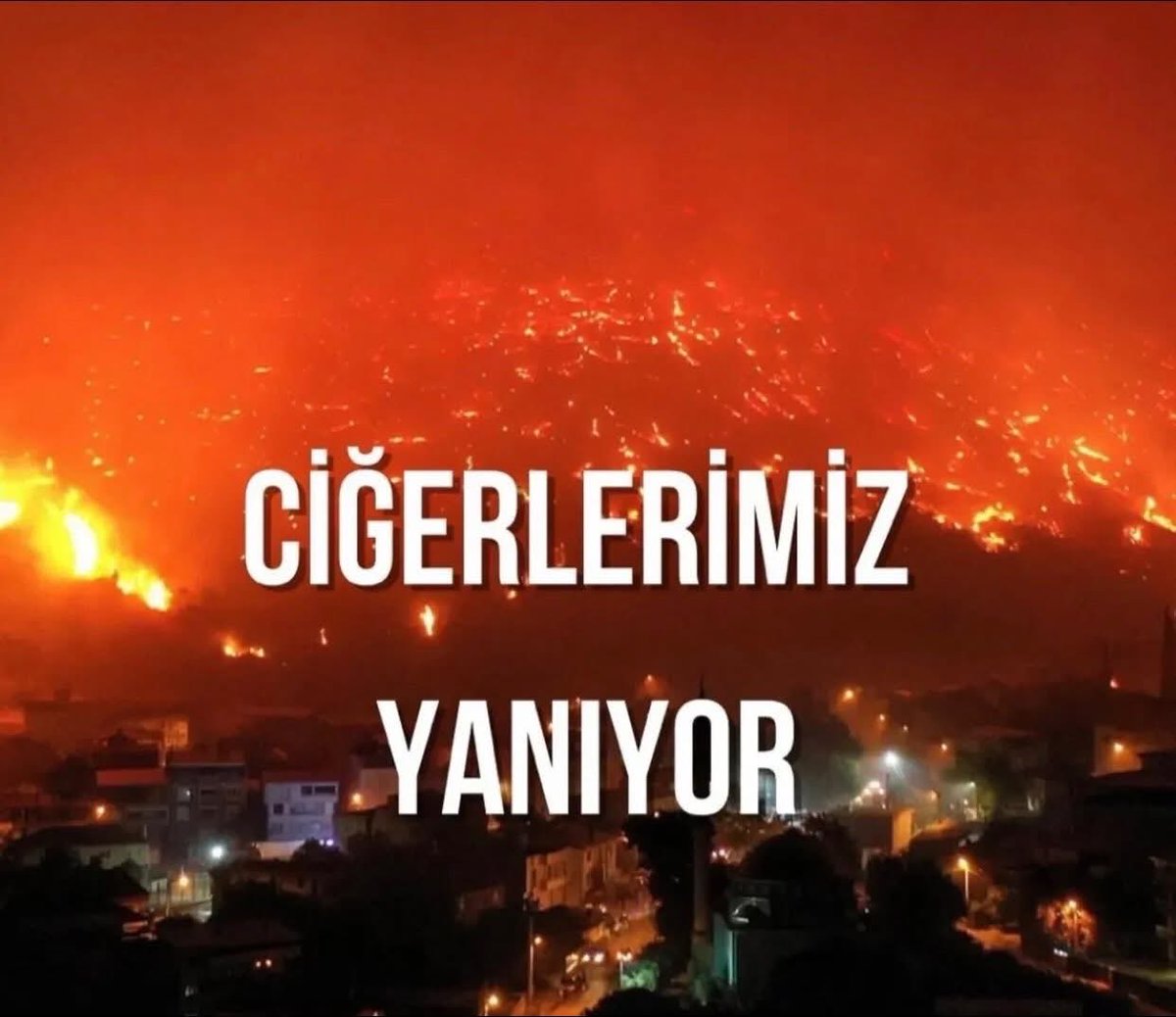 Doğaya yapılan her ihanet , insanın kendine attığı bir kurşundur.! 🌱🍀

#CiğerlerimizYanıyor