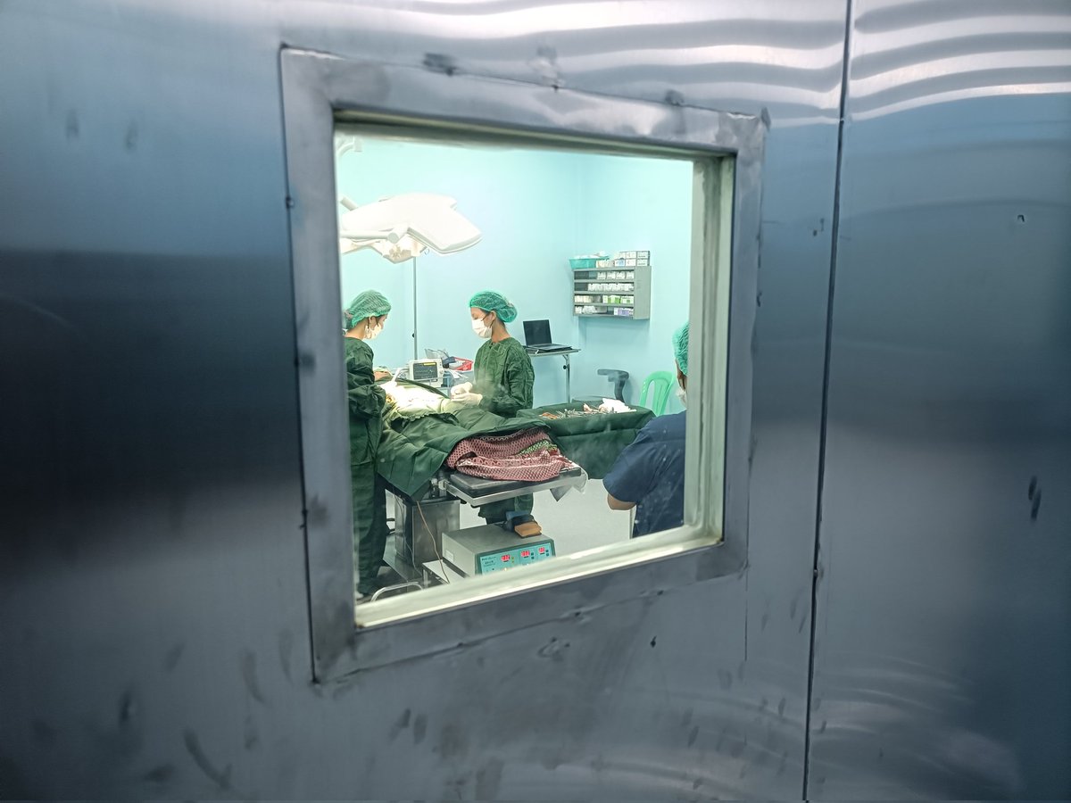 本日からミャンマー入りして手術開始してる。