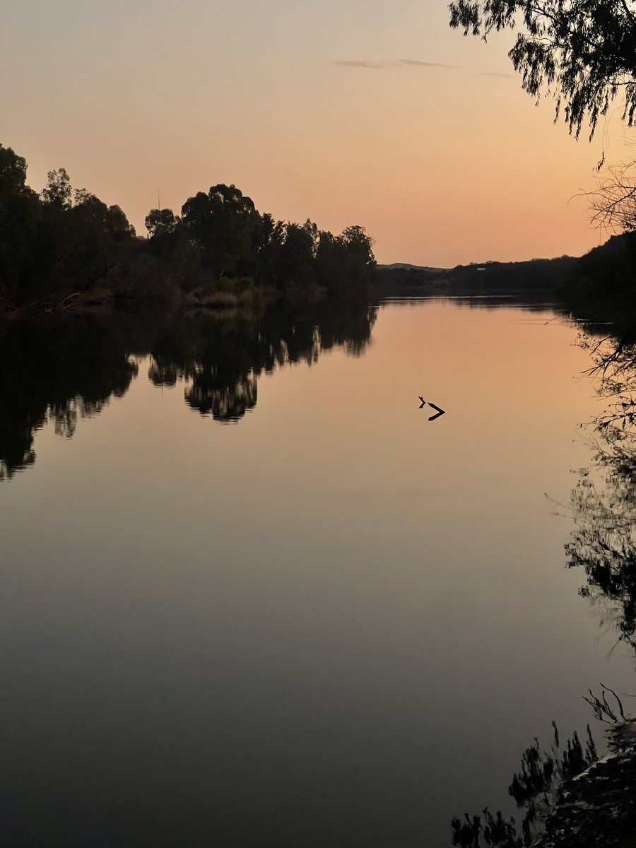 bs_kitkat's tweet image. Some of my favourite photos I took while at the Vaal :) 
Time to head back to Joburg
