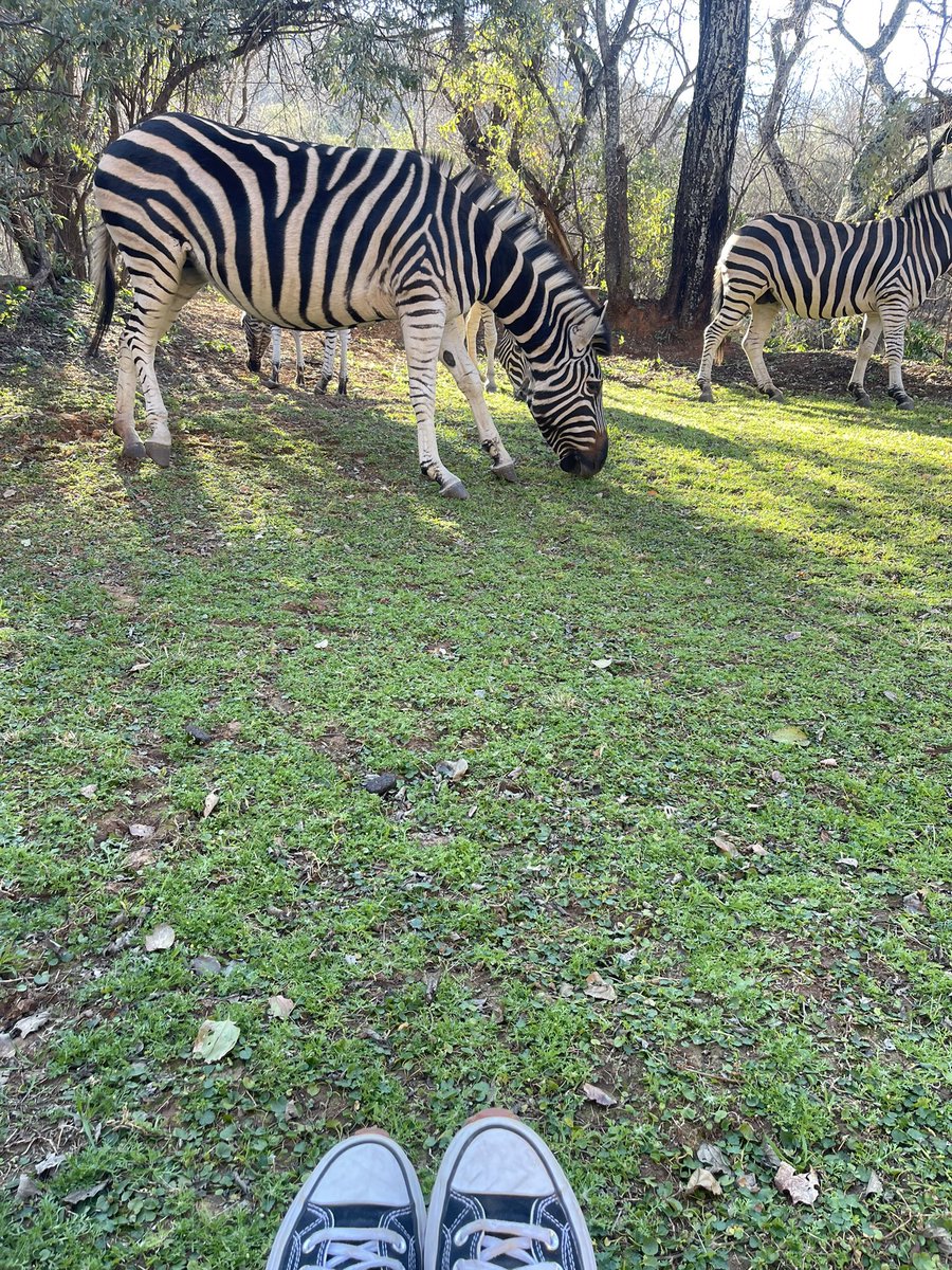 bs_kitkat's tweet image. Some of my favourite photos I took while at the Vaal :) 
Time to head back to Joburg