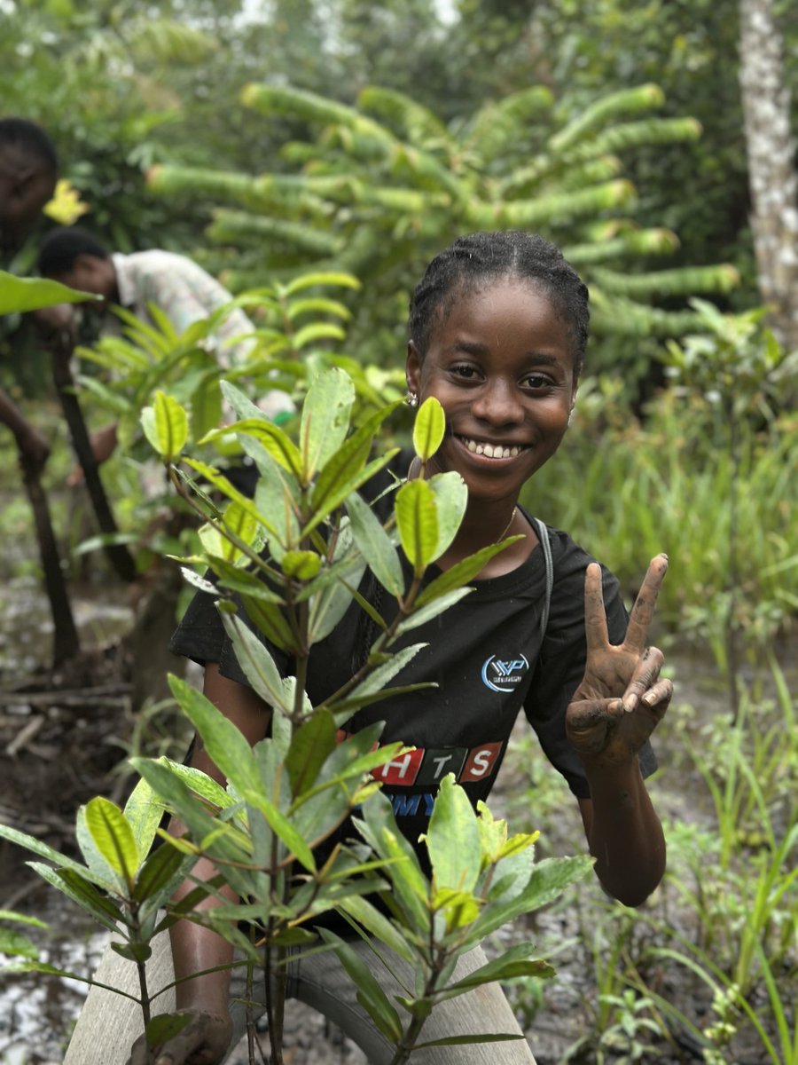 BRC_NG's tweet image. #Mangroves are bustling underwater cities! These unique coastal forests are biodiversity hotspots, supporting a rich tapestry of life from fish and crabs to birds and even monkeys. A true marvel of adaptation and survival!

#BRC #GLFxCalabar #ThinkLandscape #worldmangroveday2025