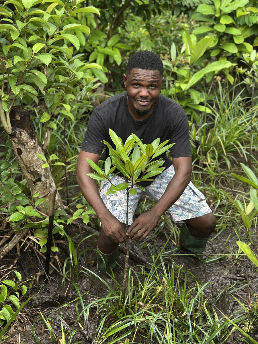 BRC_NG's tweet image. #Mangroves are bustling underwater cities! These unique coastal forests are biodiversity hotspots, supporting a rich tapestry of life from fish and crabs to birds and even monkeys. A true marvel of adaptation and survival!

#BRC #GLFxCalabar #ThinkLandscape #worldmangroveday2025