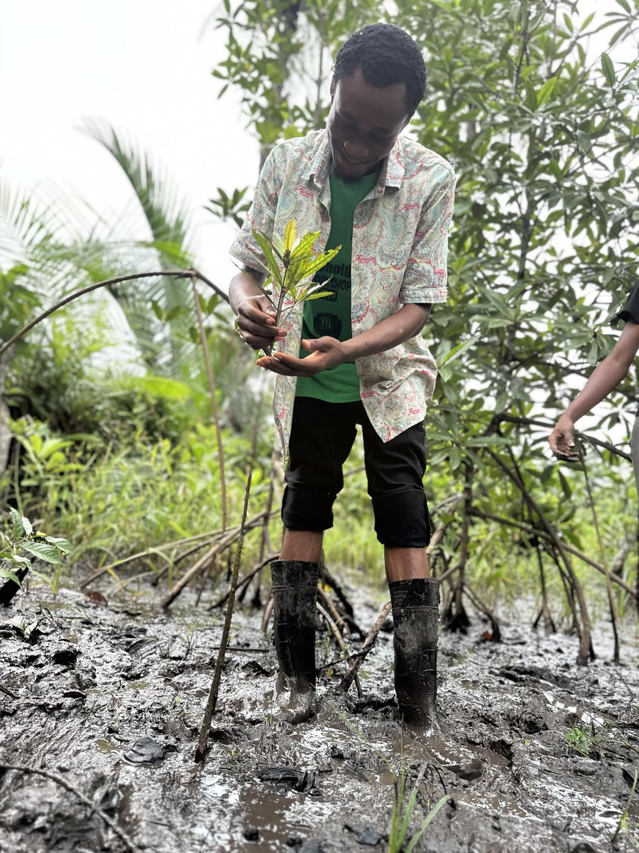 BRC_NG's tweet image. #Mangroves are bustling underwater cities! These unique coastal forests are biodiversity hotspots, supporting a rich tapestry of life from fish and crabs to birds and even monkeys. A true marvel of adaptation and survival!

#BRC #GLFxCalabar #ThinkLandscape #worldmangroveday2025